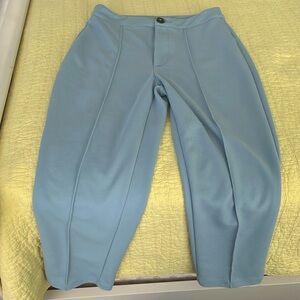 Baby Blue Work Pants